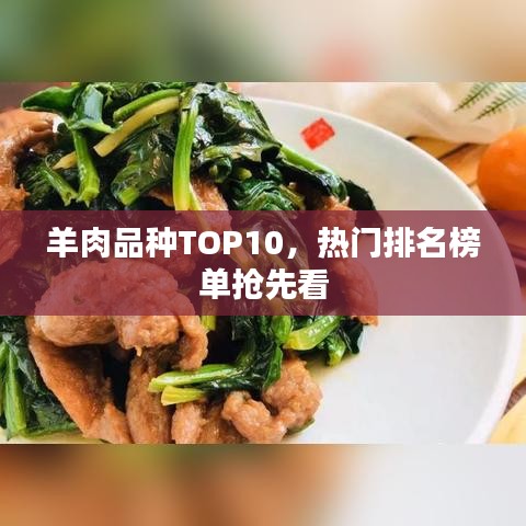 羊肉品种TOP10，热门排名榜单抢先看