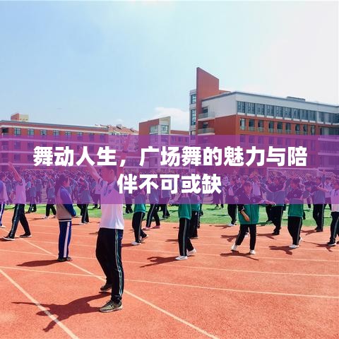 舞动人生，广场舞的魅力与陪伴不可或缺