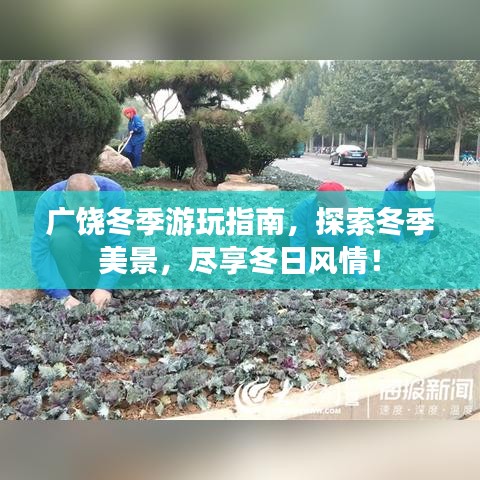 广饶冬季游玩指南，探索冬季美景，尽享冬日风情！