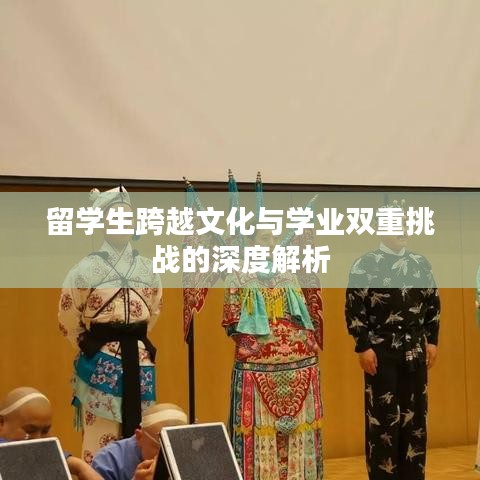 留学生跨越文化与学业双重挑战的深度解析