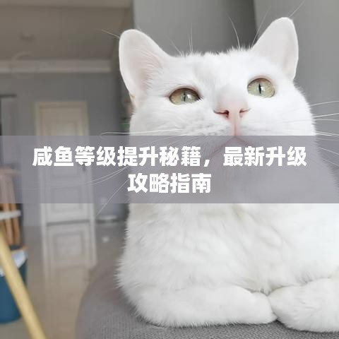 咸鱼等级提升秘籍，最新升级攻略指南