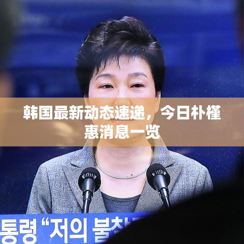 韩国最新动态速递，今日朴槿惠消息一览