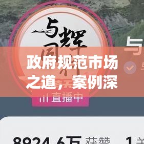 政府规范市场之道，案例深度解析