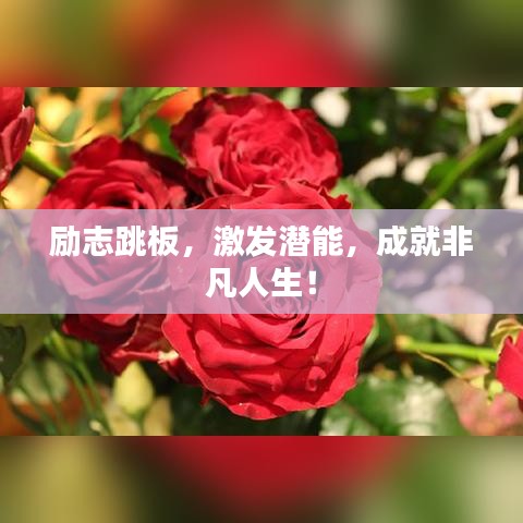 励志跳板，激发潜能，成就非凡人生！