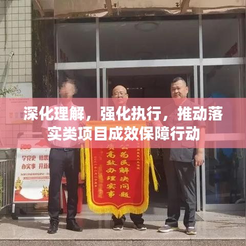 深化理解，强化执行，推动落实类项目成效保障行动