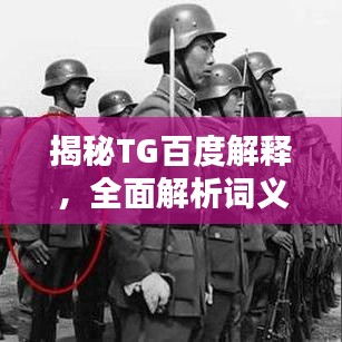 揭秘TG百度解释，全面解析词义与含义