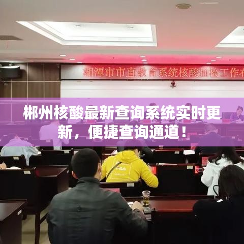 郴州核酸最新查询系统实时更新，便捷查询通道！