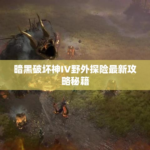 暗黑破坏神IV野外探险最新攻略秘籍