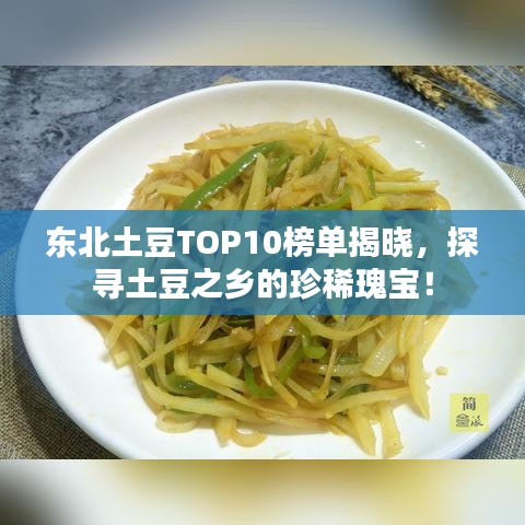 东北土豆TOP10榜单揭晓，探寻土豆之乡的珍稀瑰宝！