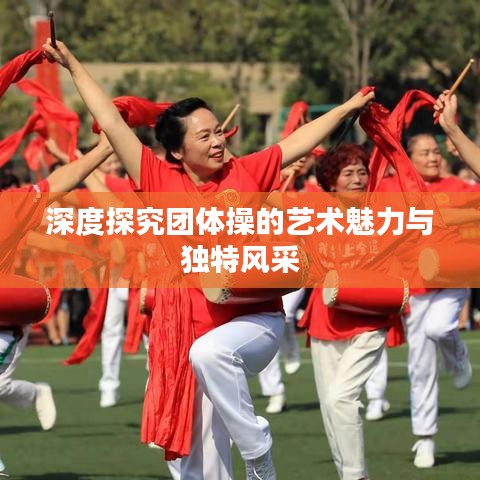 深度探究团体操的艺术魅力与独特风采