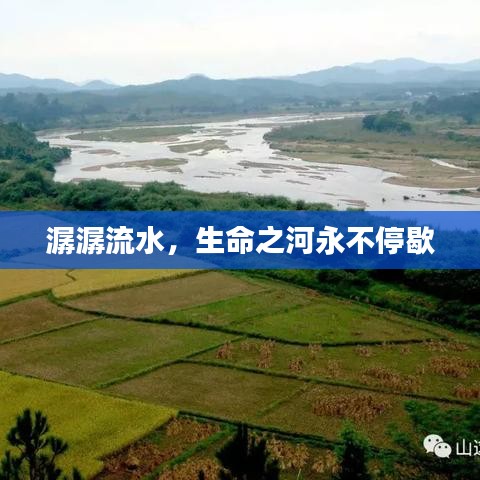 潺潺流水，生命之河永不停歇