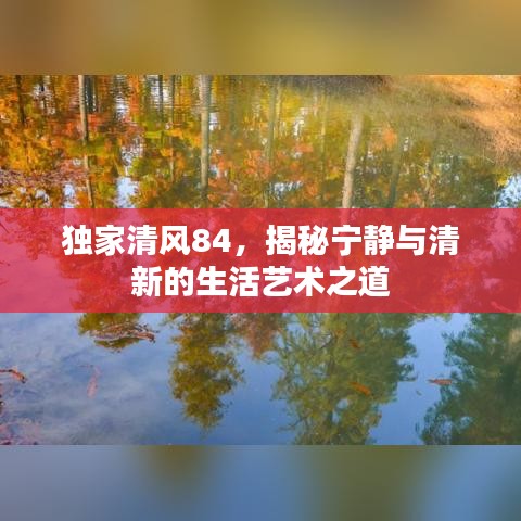独家清风84，揭秘宁静与清新的生活艺术之道