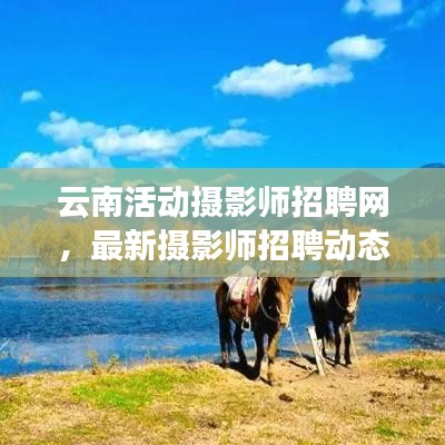 云南活动摄影师招聘网，最新摄影师招聘动态速递