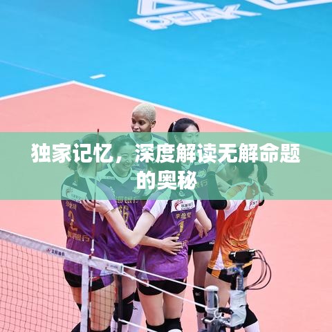 独家记忆，深度解读无解命题的奥秘