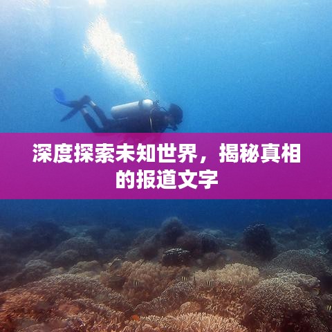 深度探索未知世界，揭秘真相的报道文字