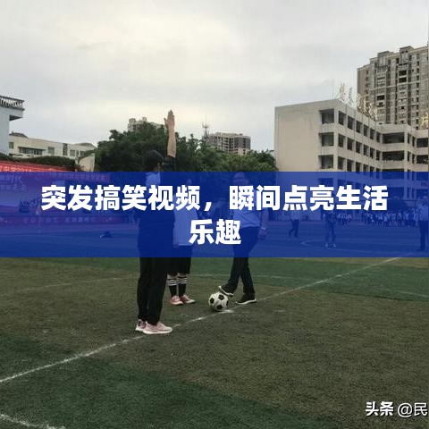 突发搞笑视频，瞬间点亮生活乐趣
