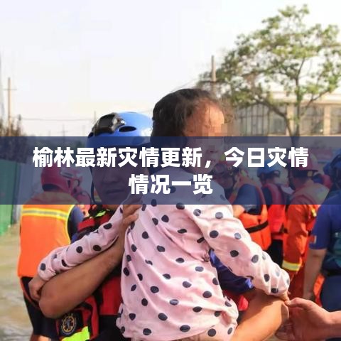 榆林最新灾情更新，今日灾情情况一览