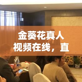 金葵花真人视频在线，直击金融领域最新动态，不容错过的精彩体验