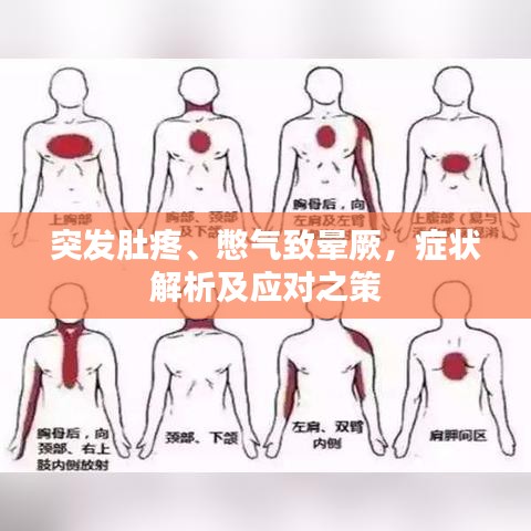 突发肚疼、憋气致晕厥，症状解析及应对之策