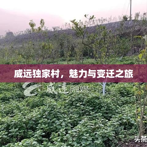 威远独家村，魅力与变迁之旅