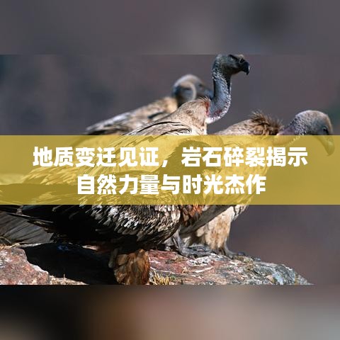 地质变迁见证，岩石碎裂揭示自然力量与时光杰作
