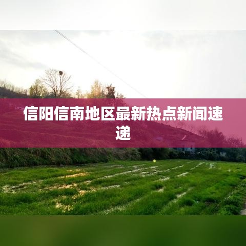 信阳信南地区最新热点新闻速递