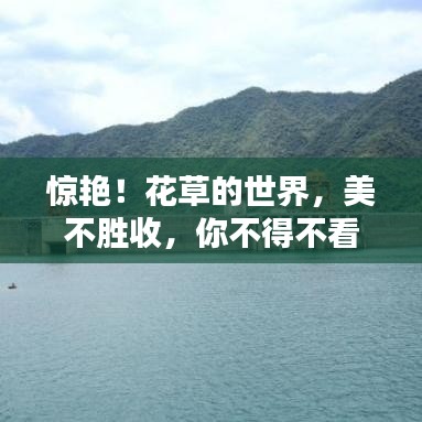 惊艳！花草的世界，美不胜收，你不得不看的宣传标题！