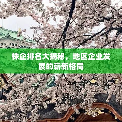 株企排名大揭秘，地区企业发展的崭新格局