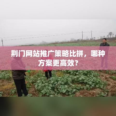 荆门网站推广策略比拼，哪种方案更高效？