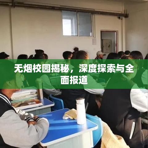 无烟校园揭秘，深度探索与全面报道