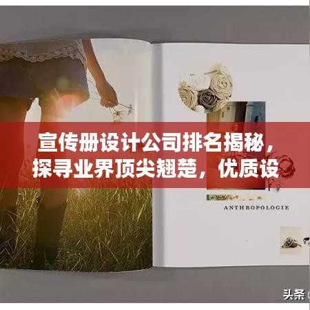 宣传册设计公司排名揭秘，探寻业界顶尖翘楚，优质设计机构一览无余！
