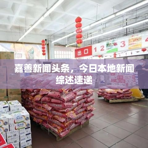 嘉善新闻头条，今日本地新闻综述速递
