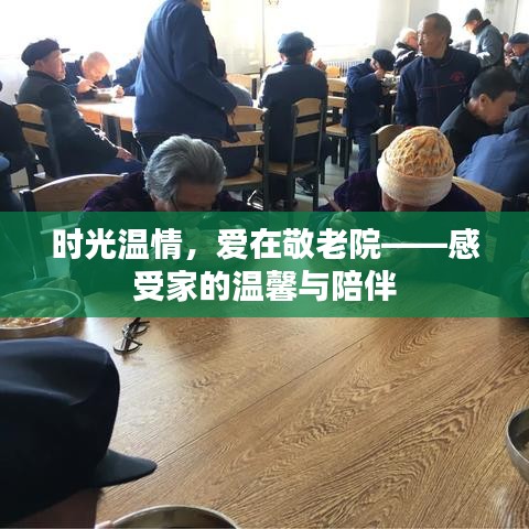 时光温情，爱在敬老院——感受家的温馨与陪伴