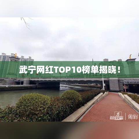 武宁网红TOP10榜单揭晓！