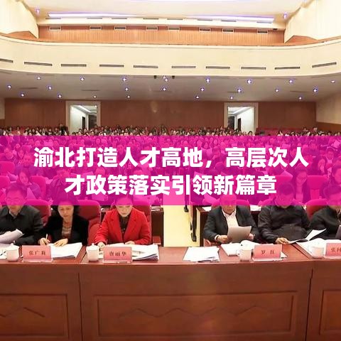 渝北打造人才高地，高层次人才政策落实引领新篇章