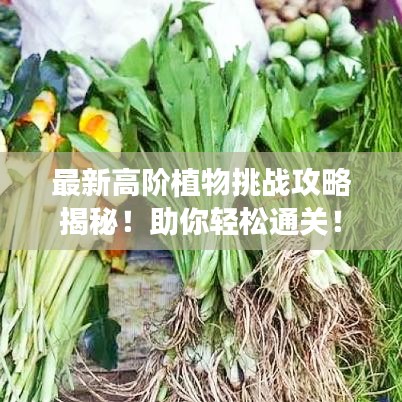 最新高阶植物挑战攻略揭秘！助你轻松通关！