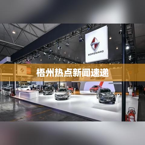 梧州热点新闻速递