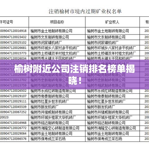 榆树附近公司注销排名榜单揭晓！