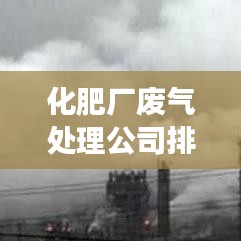 化肥厂废气处理公司排名大揭秘，行业领先的几大巨头解读！