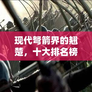 现代弩箭界的翘楚，十大排名榜单揭秘