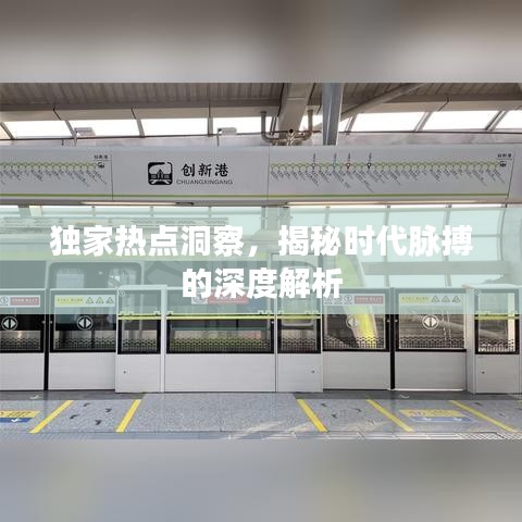 独家热点洞察，揭秘时代脉搏的深度解析