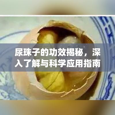 尿珠子的功效揭秘，深入了解与科学应用指南