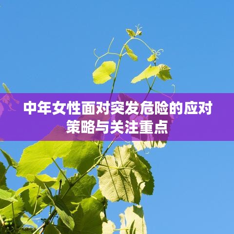 中年女性面对突发危险的应对策略与关注重点