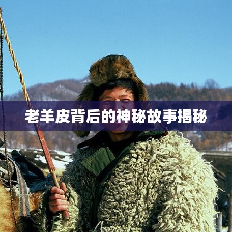 老羊皮背后的神秘故事揭秘