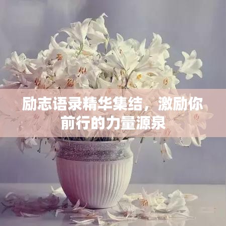 励志语录精华集结，激励你前行的力量源泉