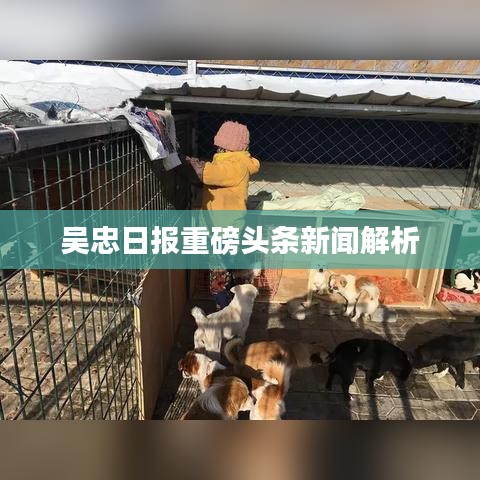 吴忠日报重磅头条新闻解析