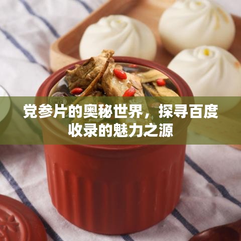 党参片的奥秘世界，探寻百度收录的魅力之源