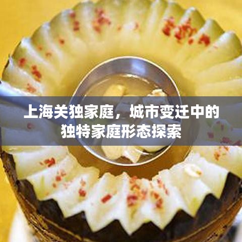 上海关独家庭，城市变迁中的独特家庭形态探索