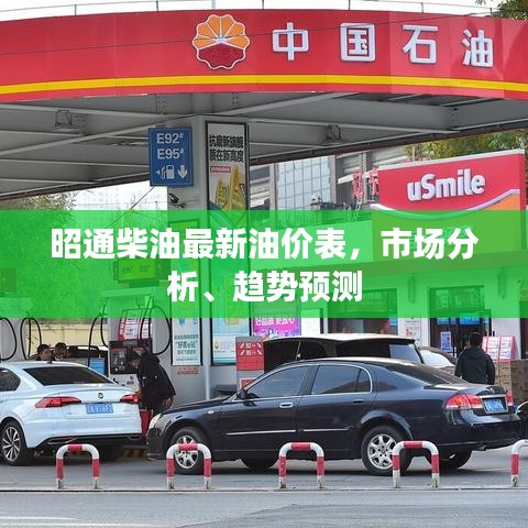 昭通柴油最新油价表，市场分析、趋势预测