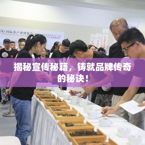 揭秘宣传秘籍，铸就品牌传奇的秘诀！
